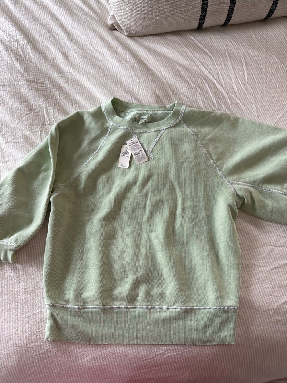 Aerie Femme Light Sage Green Crewneck Sweatshirt